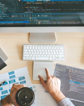 professionnel-du-web